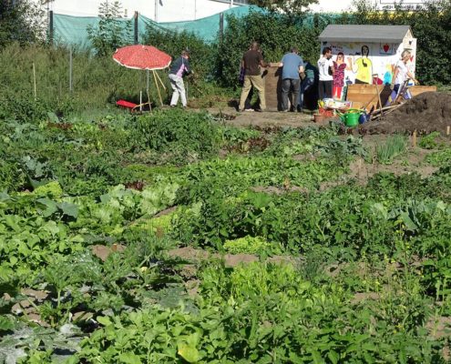 Dank der Unterstützung ortsansässiger Unternehmen und der WOLV-AG Kleine Gärten können Flüchtlinge ein Stück Land selbst bestellen.